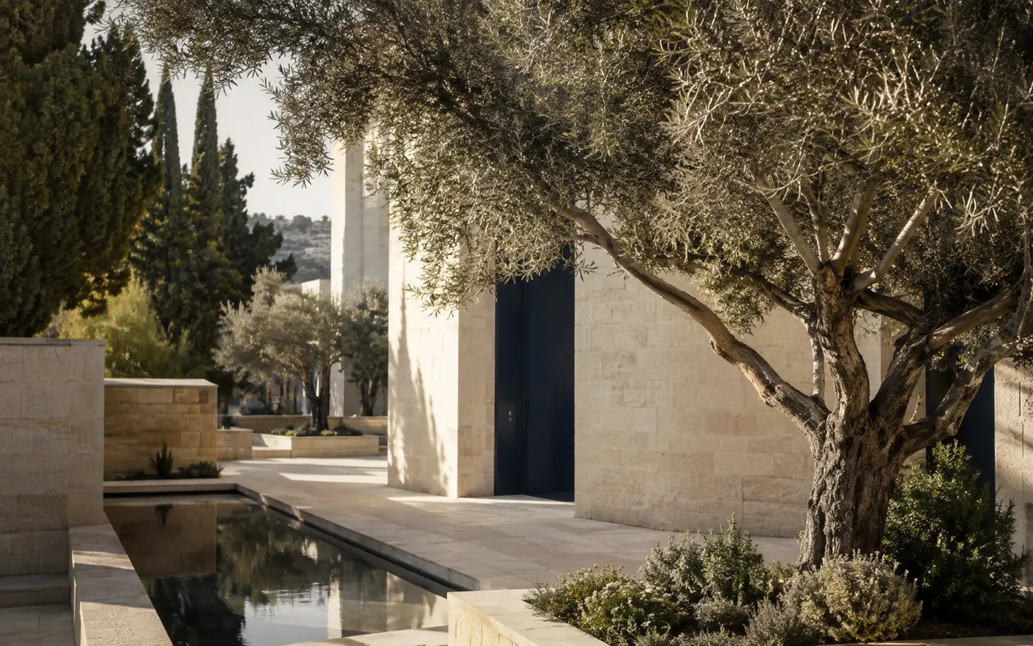 חצר ירושלמית שקטה באור טבעי
